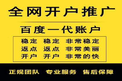 SEM运营策略案例分析